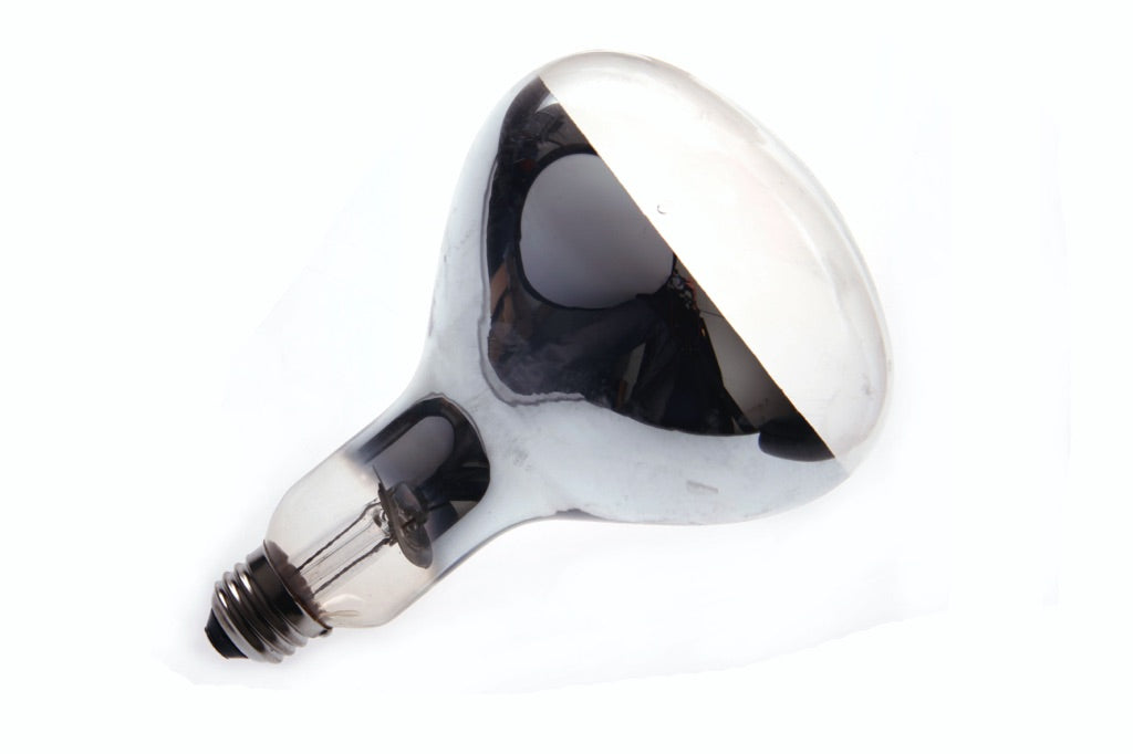 790971-LAMP INFRARED RAY IR-RH, E-26 100-110V 250W