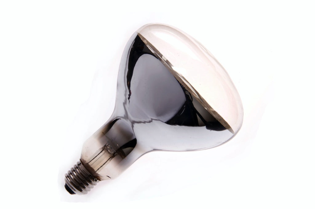 790973-LAMP INFRARED RAY IR-RH, E-26 100-110V 500W