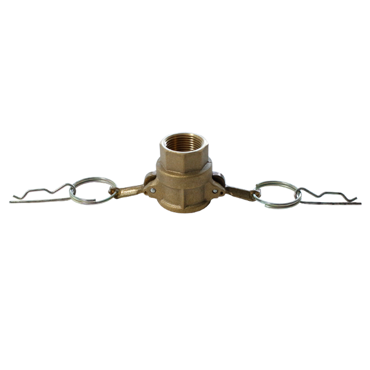 351816-COUPLING CAM&GROOVE BRASS, D SOCKET W/FEMALE THREAD 3/4?