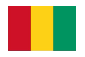 371121-FLAG NATIONAL 4?X 6? BUNTING, REPUBLIC OF GUINEA