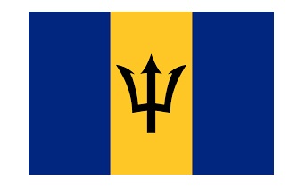 371174-FLAG NATIONAL 4?X 6? BUNTING, BARBADOS