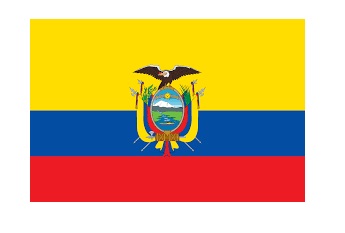 371317-FLAG NATIONAL 4?X 6? BUNTING, ECUADOR