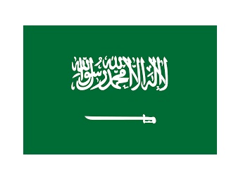 371362-FLAG NATIONAL 4?X 6? BUNTING, SAUDI ARABIA