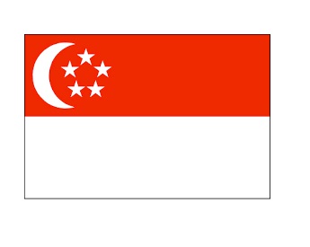 371363-FLAG NATIONAL 4?X 6? BUNTING, SINGAPORE
