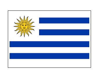 371376-FLAG NATIONAL 4?X 6? BUNTING, URUGUAY