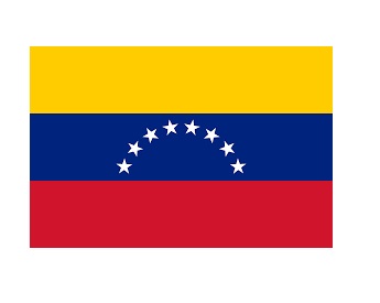 371379-FLAG NATIONAL 4?X 6? BUNTING, VENEZUELA