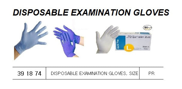 391874-GLOVES EXAMINATION DISPOSABLE, L