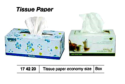 174220-TISSUE PAPER ECONOMY SIZE