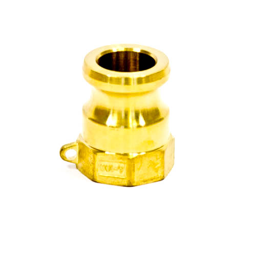 351717-COUPLING CAM&GROOVE BRASS, A PLUG W/FEMALE THREAD 1?