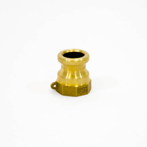 351718-COUPLING CAM&GROOVE BRASS, A PLUG W/FEMALE THREAD 1-1/4?