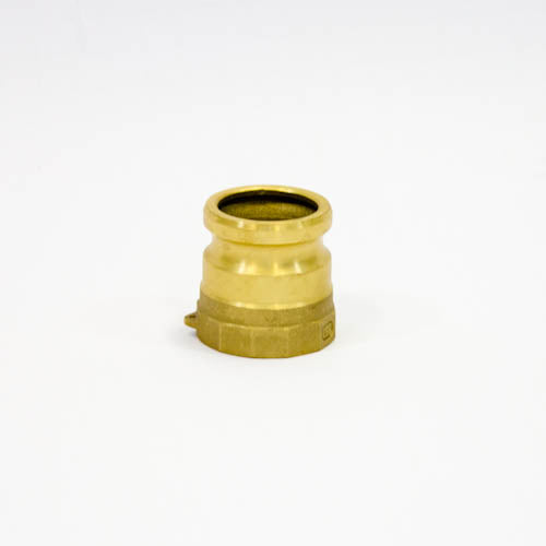 351721-COUPLING CAM&GROOVE BRASS, A PLUG W/FEMALE THREAD 2-1/2?