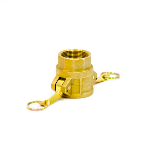 351818-COUPLING CAM&GROOVE BRASS, D SOCKET FEMALE THREAD 1-1/4?