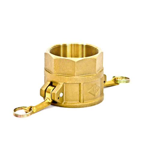 351822-COUPLING CAM&GROOVE BRASS, D SOCKET W/FEMALE THREAD 3?