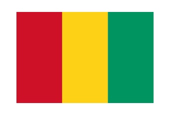 371121-FLAG NATIONAL 4?X 6? BUNTING, REPUBLIC OF GUINEA