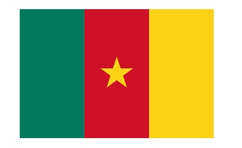 371153-FLAG NATIONAL 4?X 6? BUNTING, CAMEROON