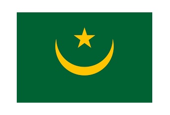 371162-FLAG NATIONAL 4?X 6? BUNTING, MAURITANIA