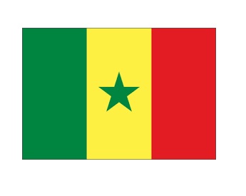 371166-FLAG NATIONAL 4?X 6? BUNTING, SENEGAL